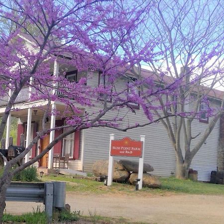 Bliss Point Farm&B&B, LLC Earlysville Exterior foto